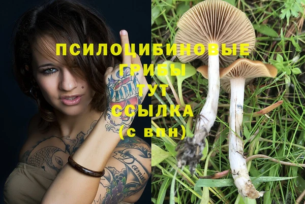 мдпв Белокуриха