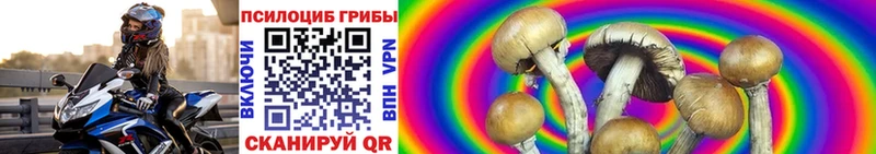 гидра как зайти  Калуга  Псилоцибиновые грибы Psilocybe 